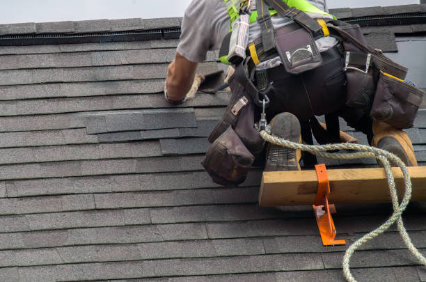 Roof Gutter Cleaning in Dock Junction, GA