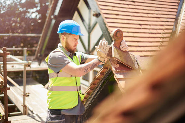 Best Metal Roofing Contractor  in Dock Junction, GA