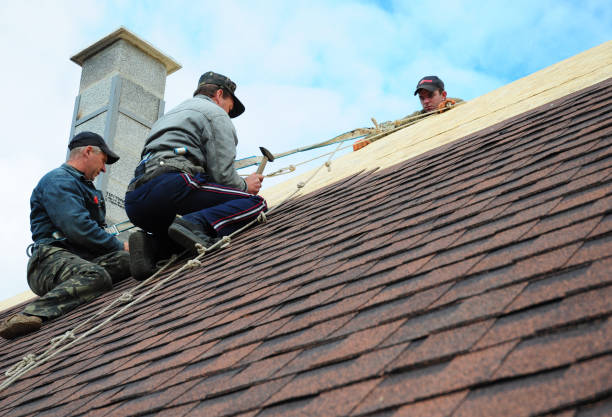 Best Storm Damage Roof Repair  in Dock Junction, GA