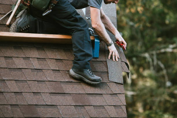 Professional Roofing Contractor in Dock Junction, GA